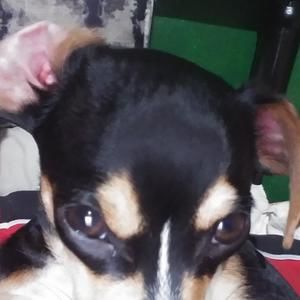 Meet your Posher, Wesley